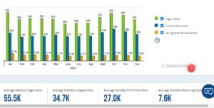 A summery of average monthly page views on the website of Goedbericht.nl